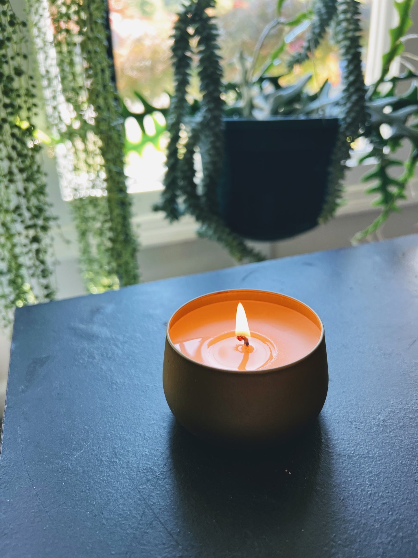 Equinox Daze Gold Tin Refillable Candle