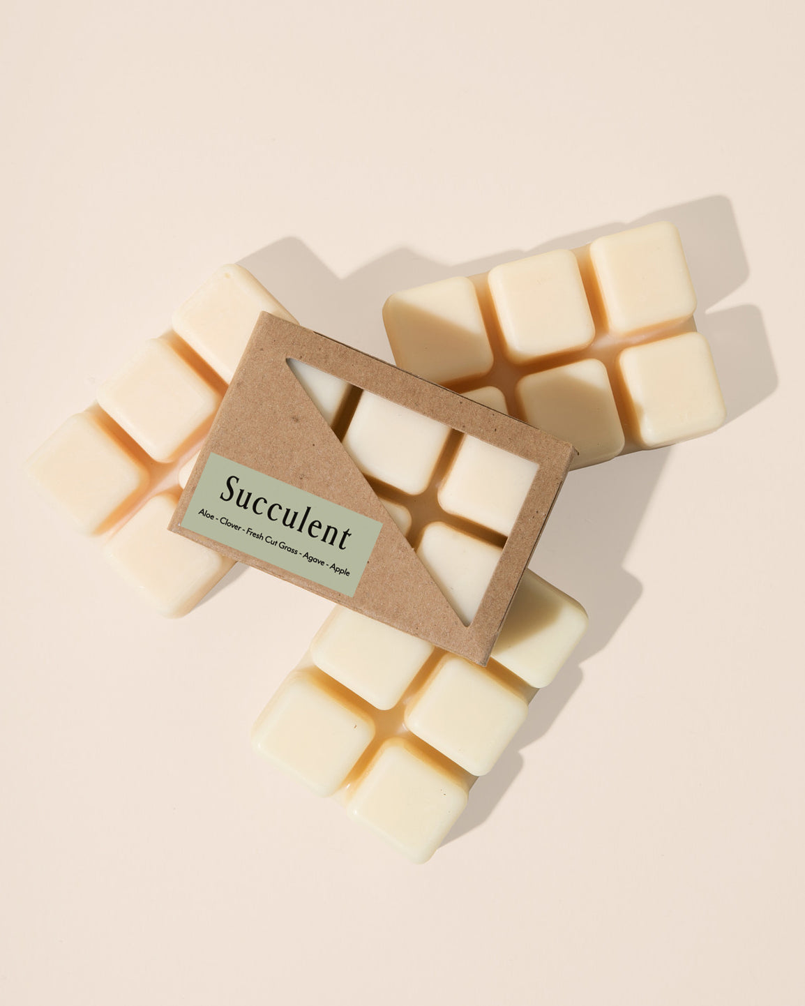 Succulent Plastic Free Wax Melt