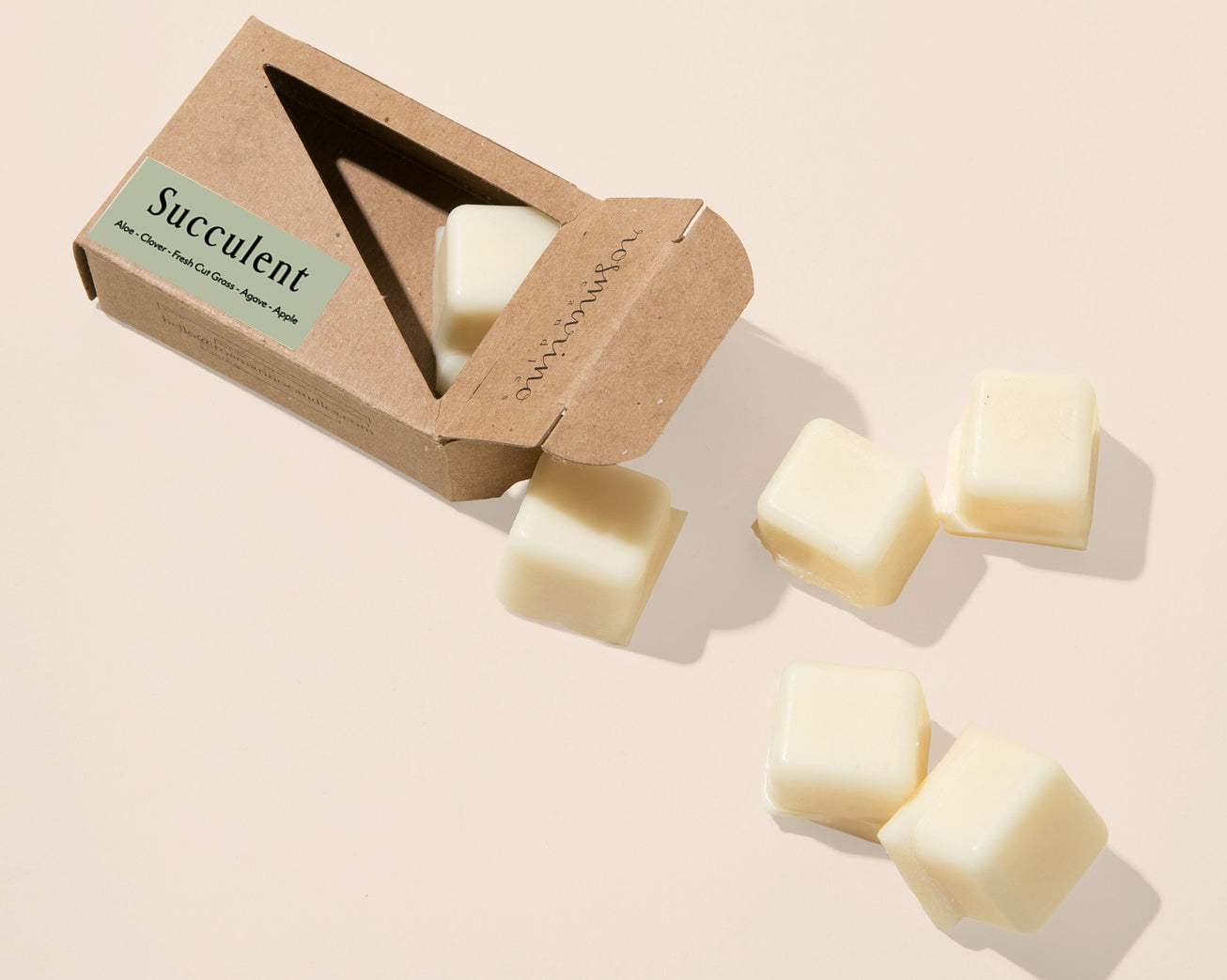Succulent Plastic Free Wax Melt