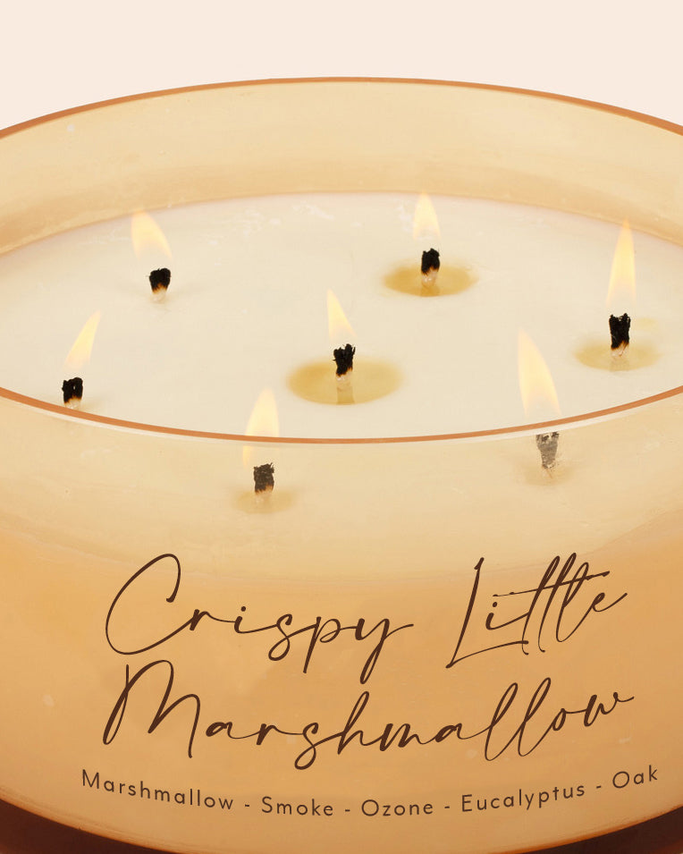 Crispy Little Marshmallow Comically Large 7 Wick Candle (Seasonal Availability)