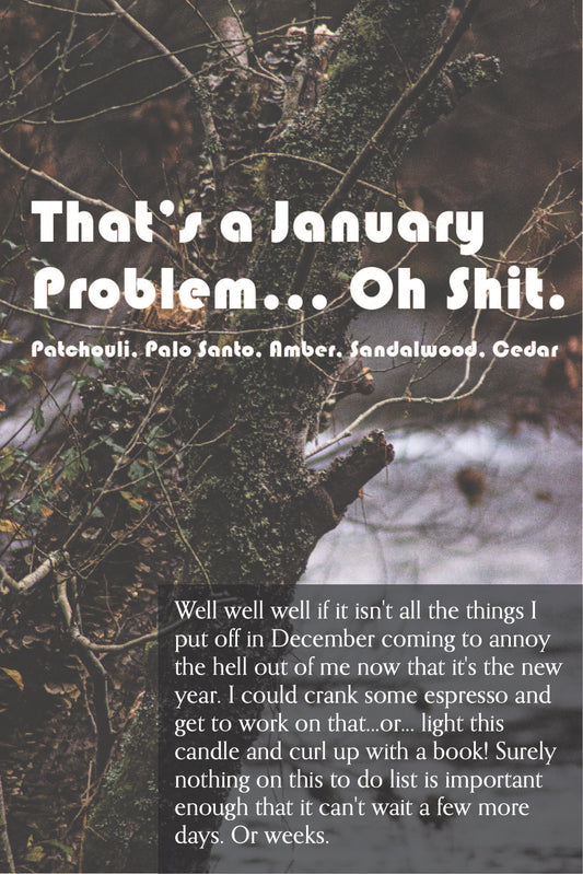 That's a January Problem...Oh Shit (Surplus) -  Ships in August Box