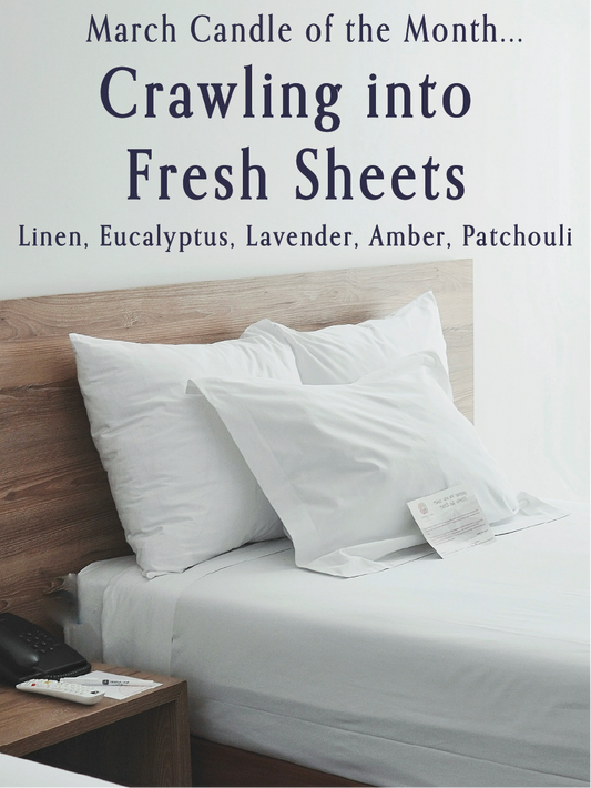Crawling Into Fresh Sheets (Surplus) - Ships in August Box