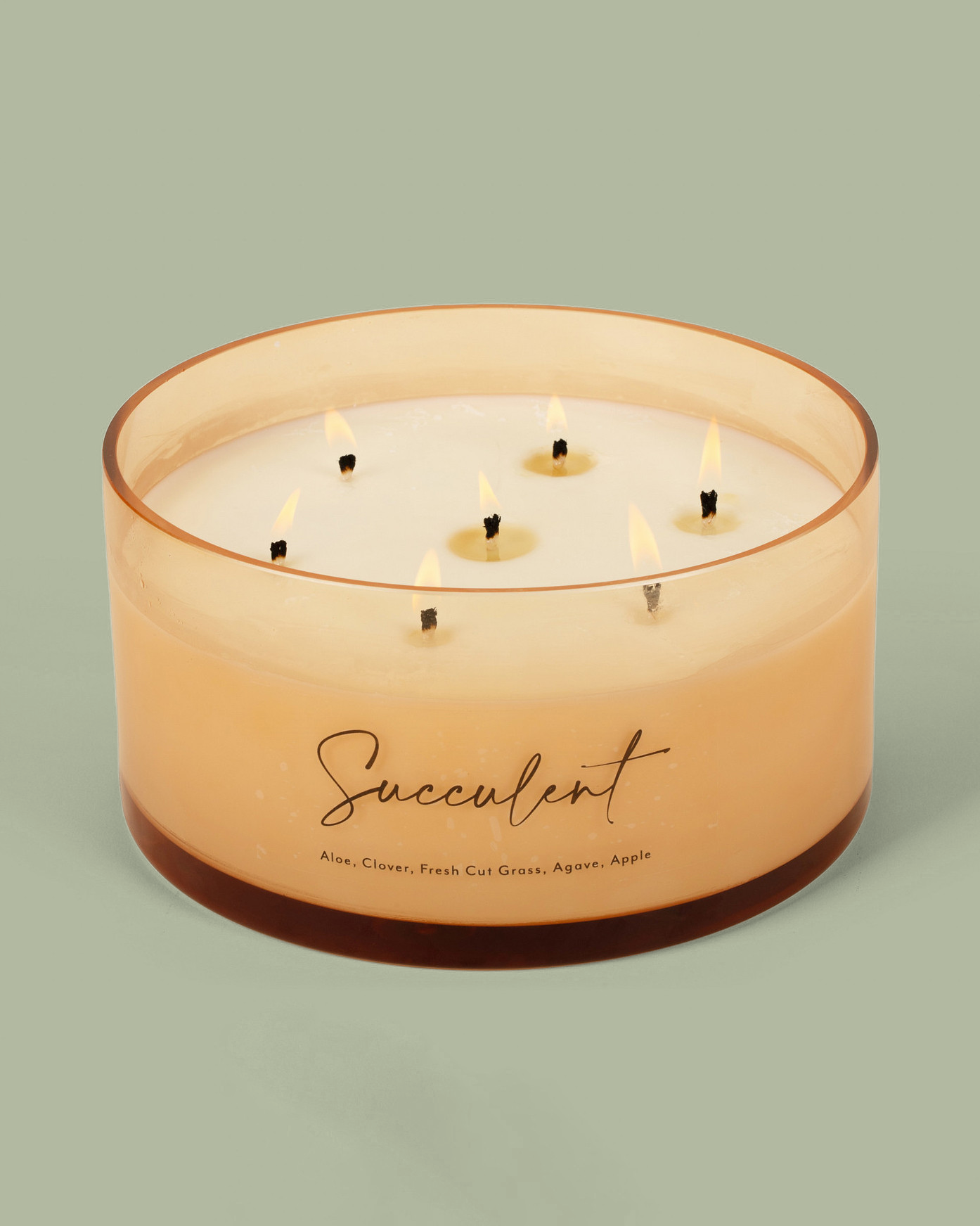 Succulent Comically Large 7 Wick Candle