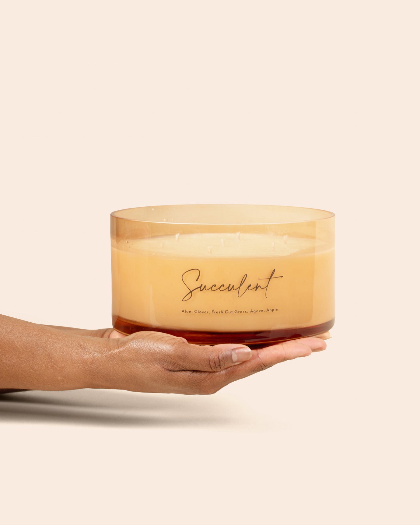 Succulent Comically Large 7 Wick Candle