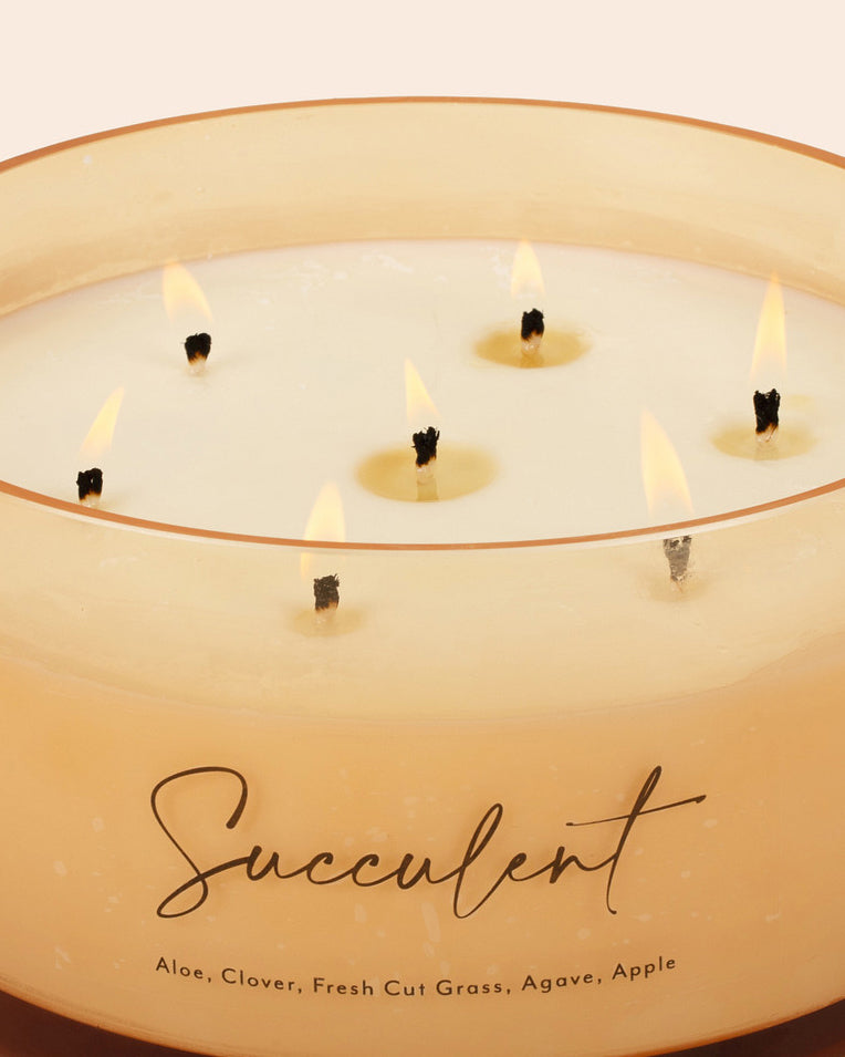 Succulent Comically Large 7 Wick Candle