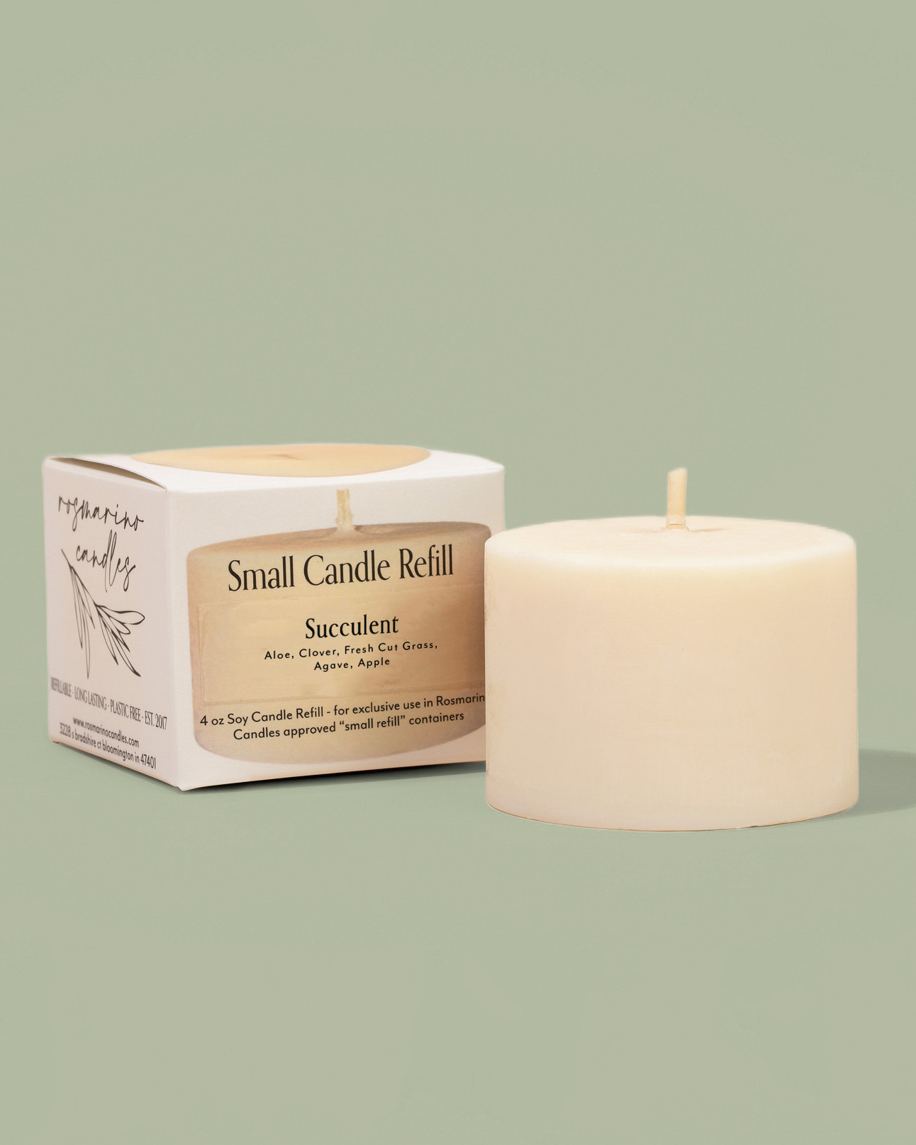 Succulent Refill - Gold Tin