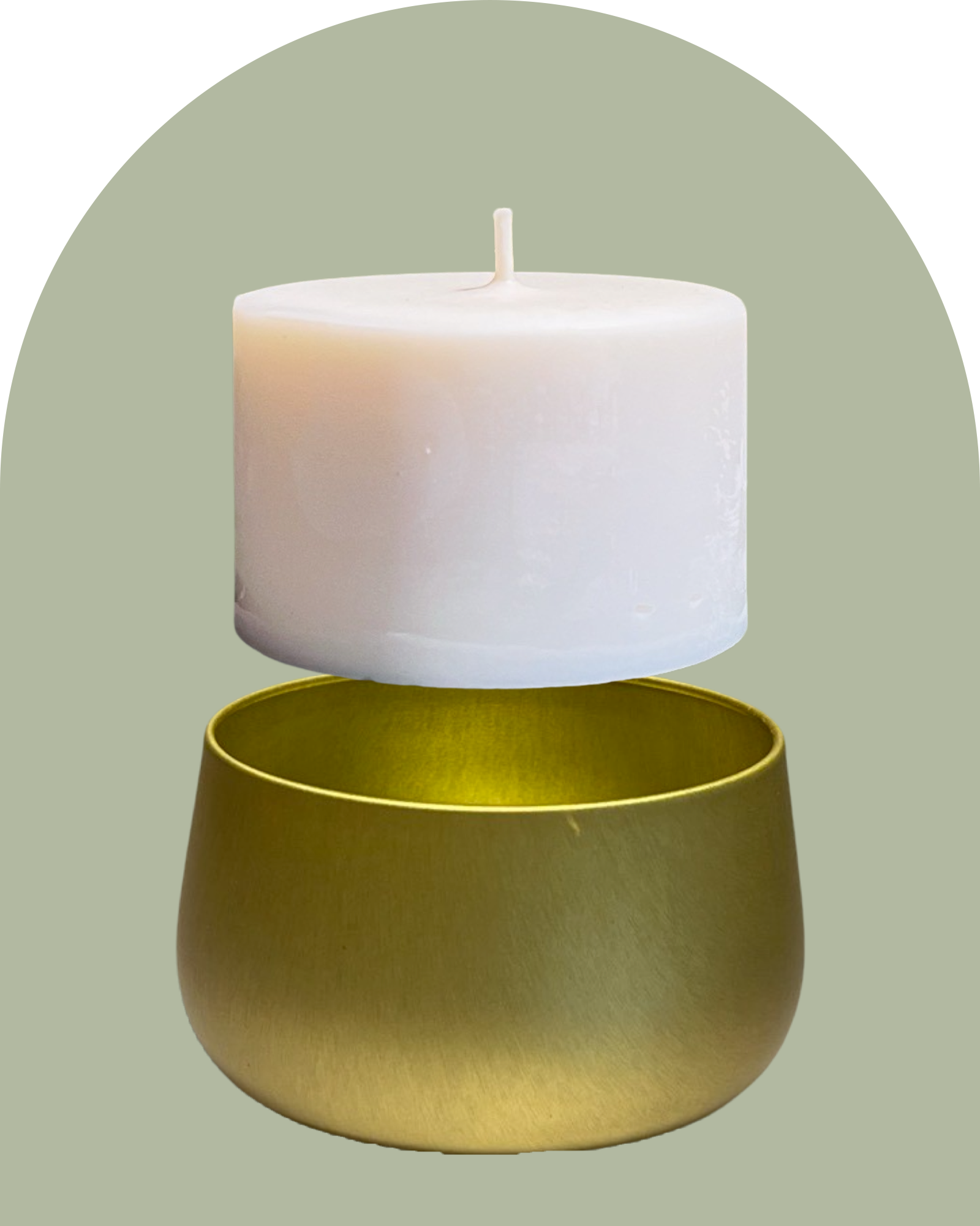 Succulent Refill - Gold Tin