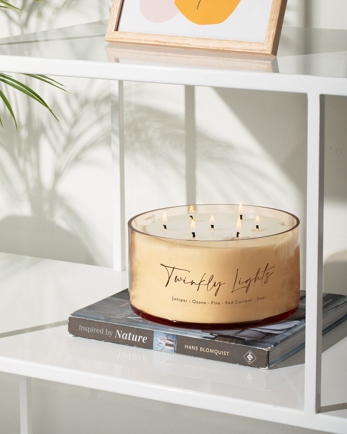Comically Large Cangle Twinkly Lights Comically Large 7 Wick Candle (Seasonal Availability ...