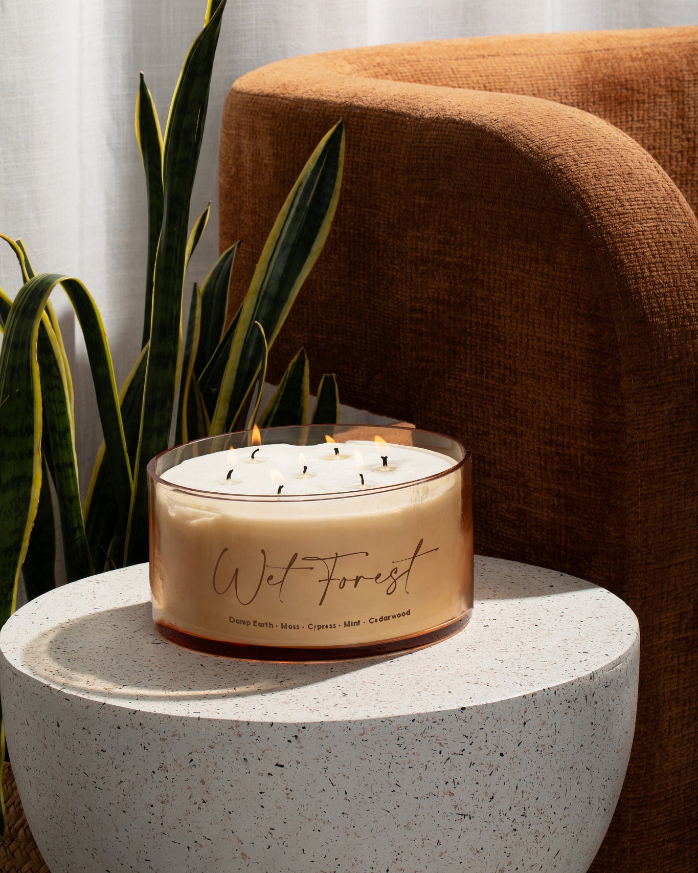 Wet Forest Comically Large 7 Wick Candle