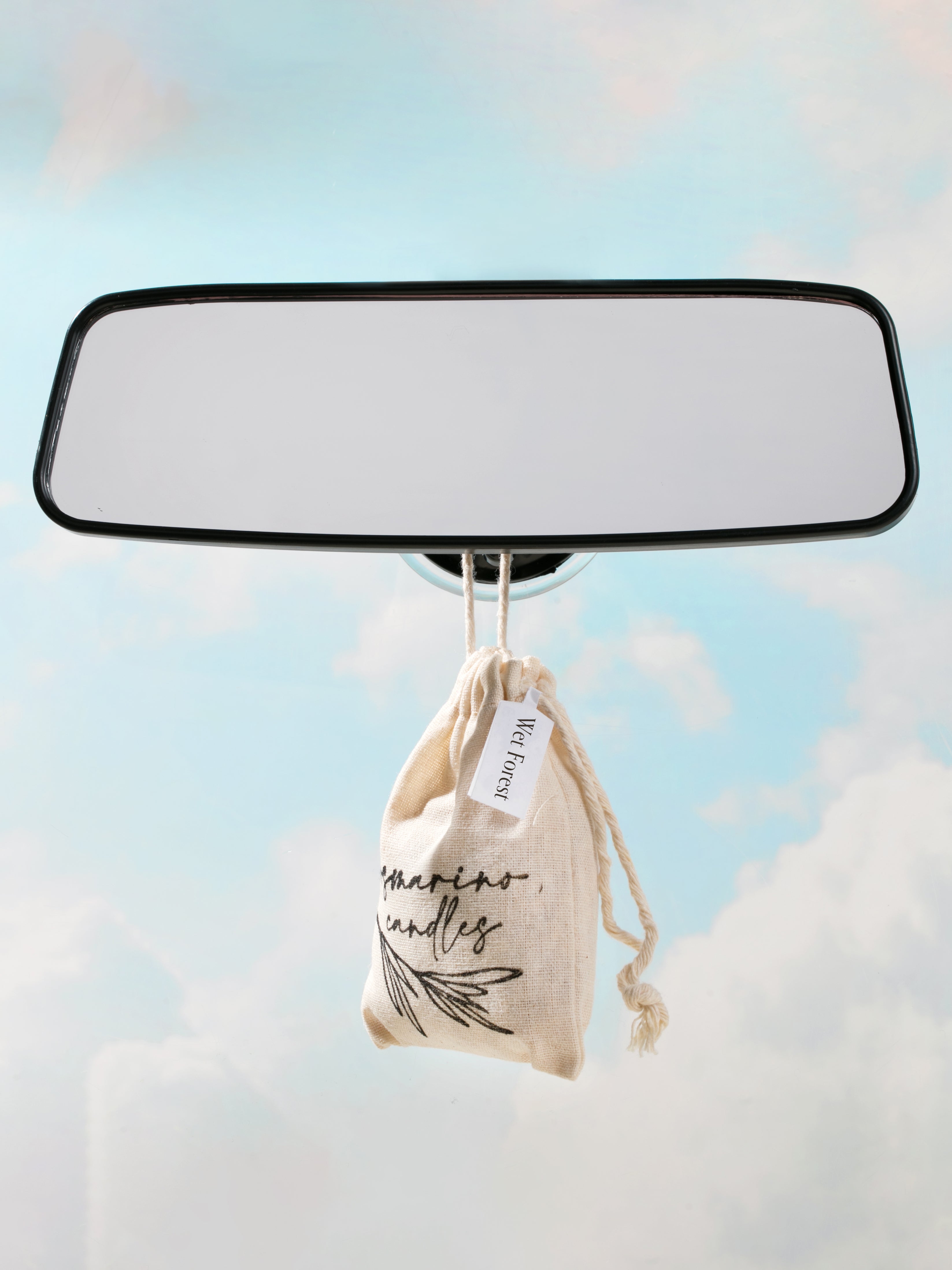 Wet Forest Car Fragrance