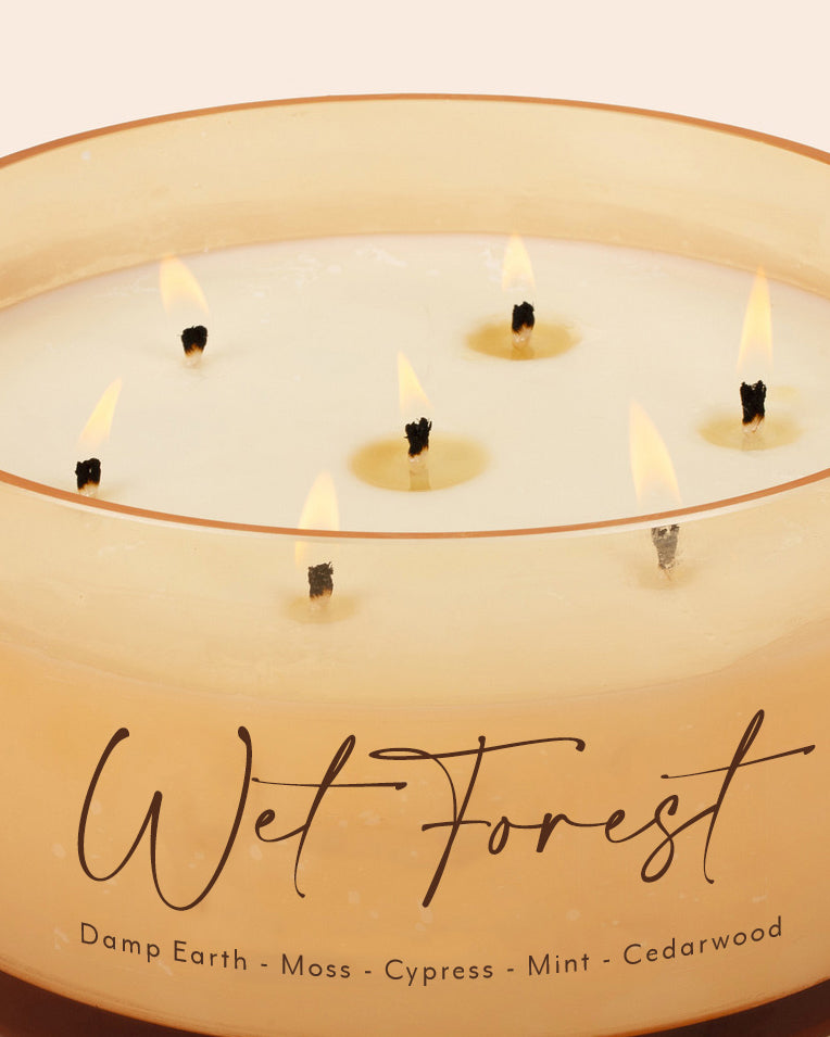 Wet Forest Comically Large 7 Wick Candle